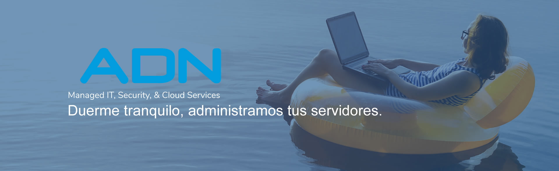 desarrollos web